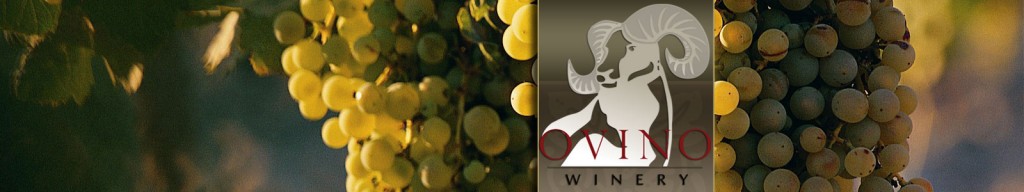 Ovino Winery
